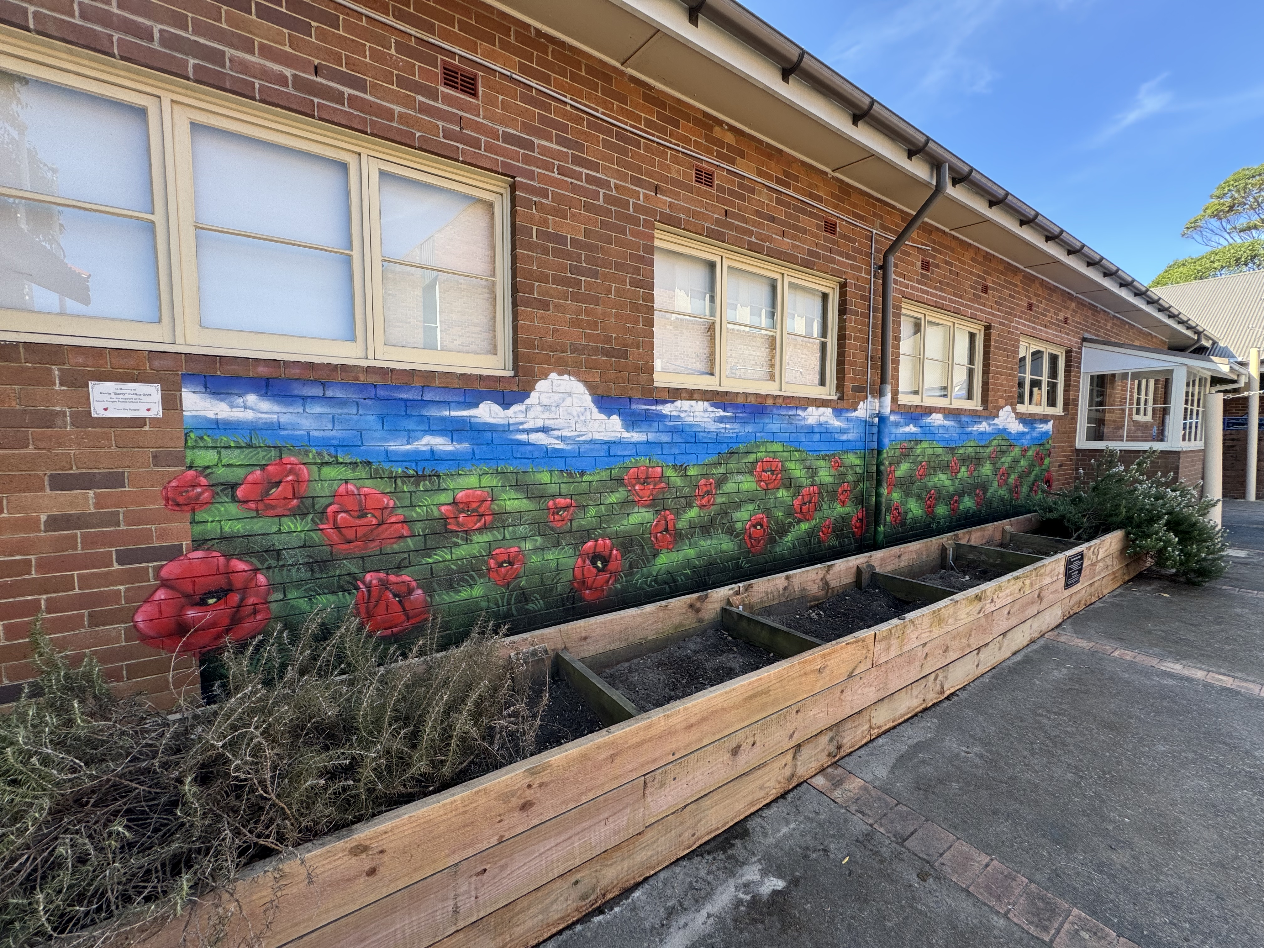 Red poppy field mural painted along a brick school corridor wall in South Coogee, Sydney, beside a memorial garden