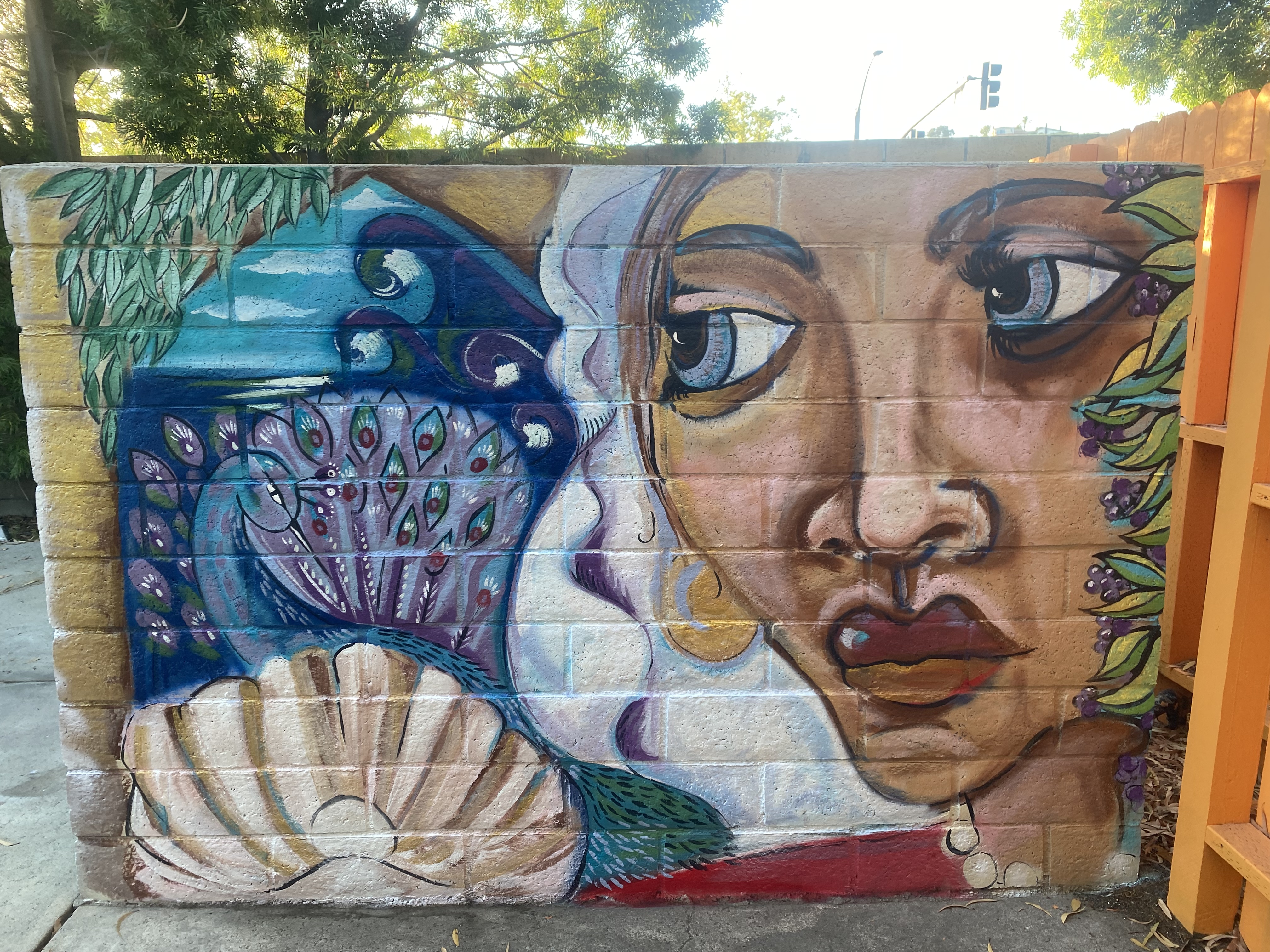 Renaissance-style face and scallop shell mural on a backyard block wall near Los Angeles