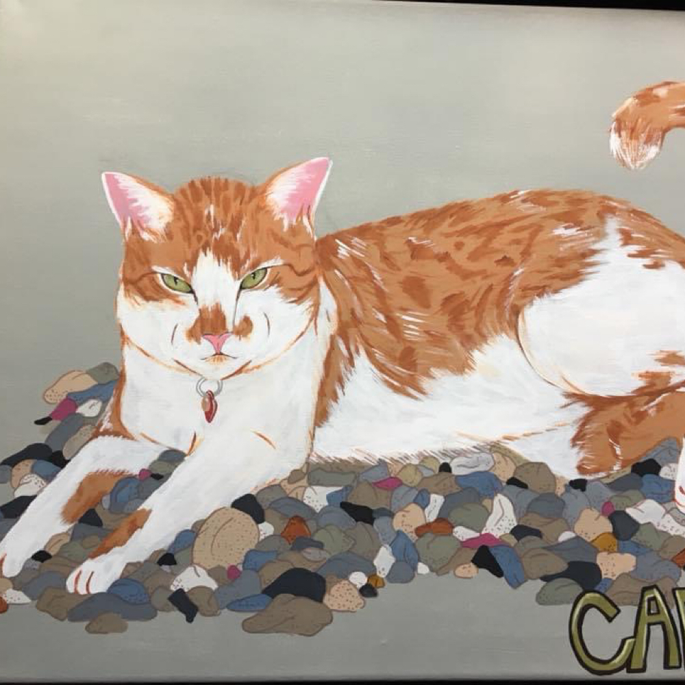 Pet portrait by Cailey Giusti in Greater Sudbury